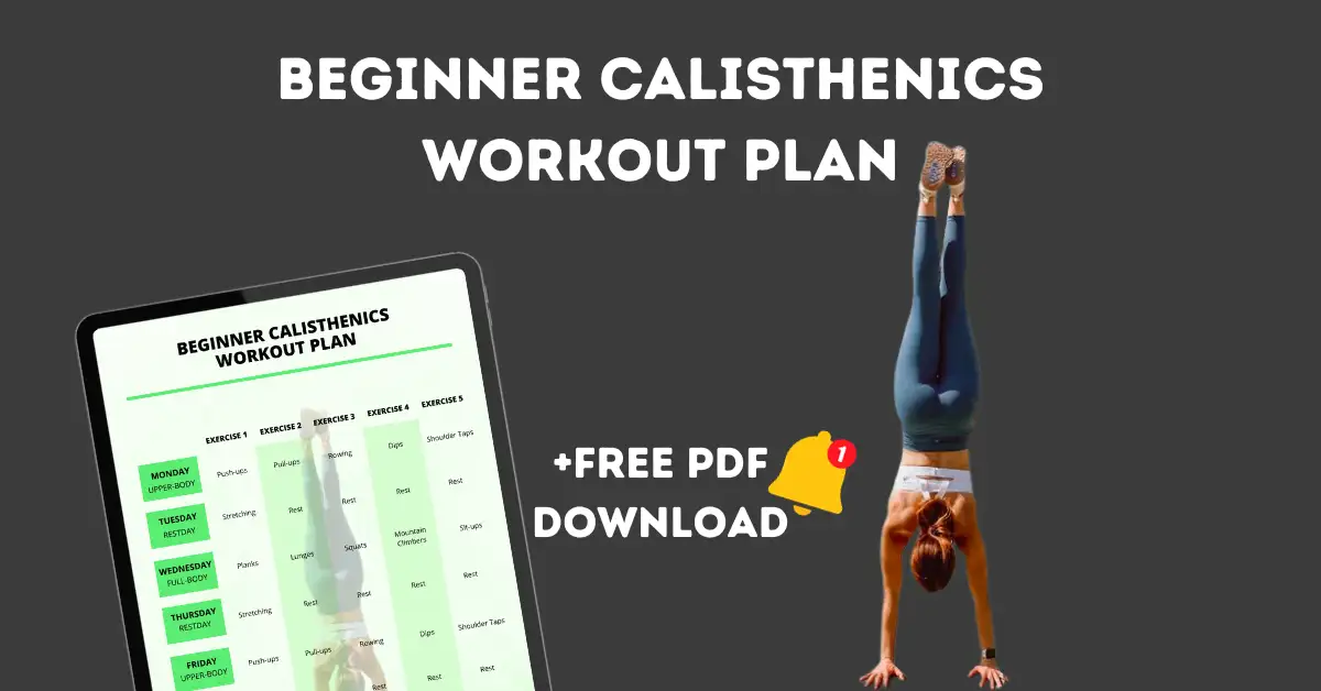 beginner calisthenics workout plan pdf download