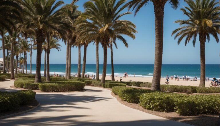 coastline with palm trees